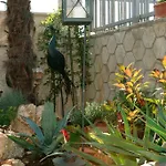 Arte Casa Hotel Murine