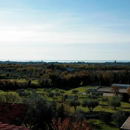 Arte Casa Murine