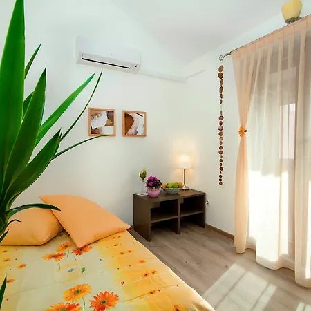 Arte Casa Murine