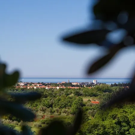 فندق Arte Casa 3*